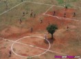 /album/srandovni-a-hloupe-napady/interesting-football-field-with-a-tree-interessante-fussballplatz-mit-einem-baum-terrain-de-football-interessant-avec-un-arbre-jpg/
